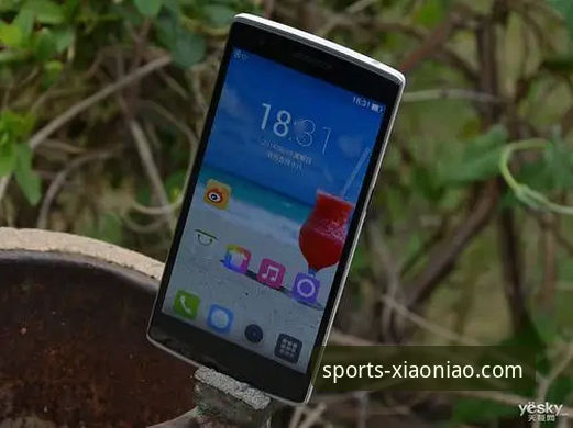 小鸟综合体育手机版深度评测与下载指南